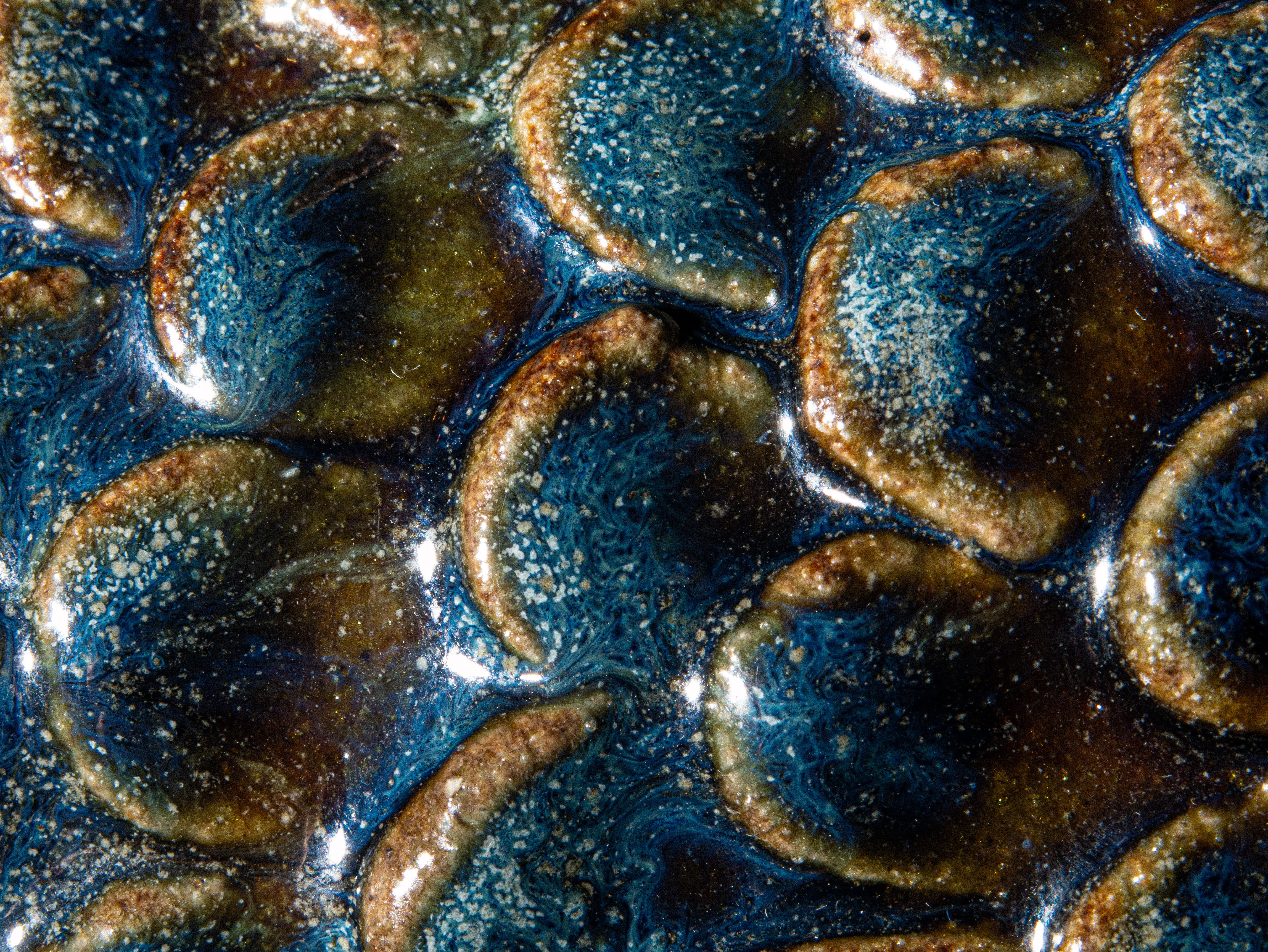 Close up of scales